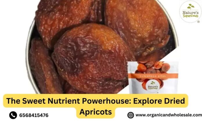 The Sweet Nutrient Powerhouse Explore Dried Apricots
