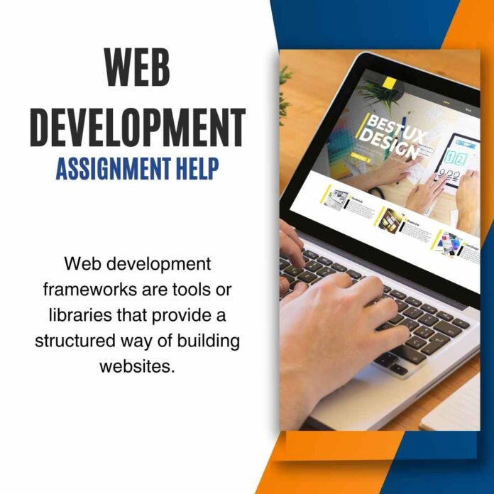 web development assignment help